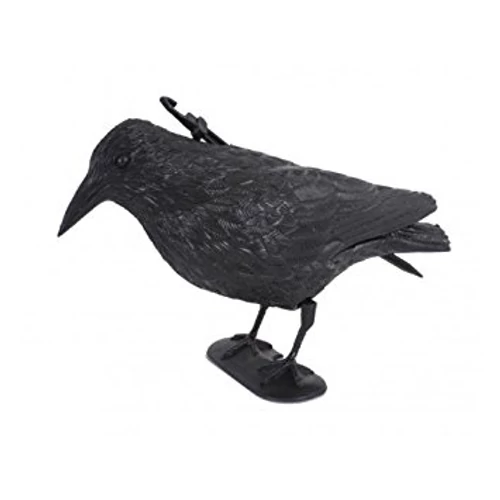 Madár riasztó holló a madarak királya. madárriasztó galambriasztó nem tűr meg más madarat 40cm
